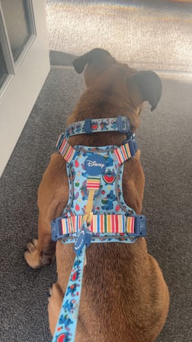 Customer photo review of Disney© Tough Trails™ Harness - Stitch's Fruit Fiesta