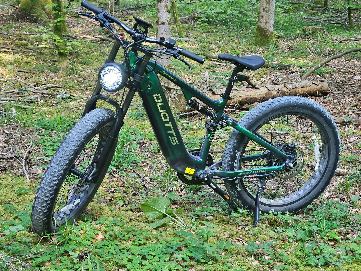 Customer photo review of DUOTTS E26 Electric Bike