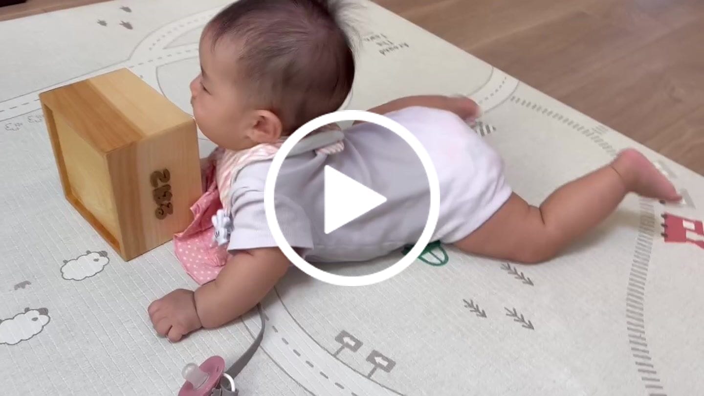 Customer video review of 動物積み木