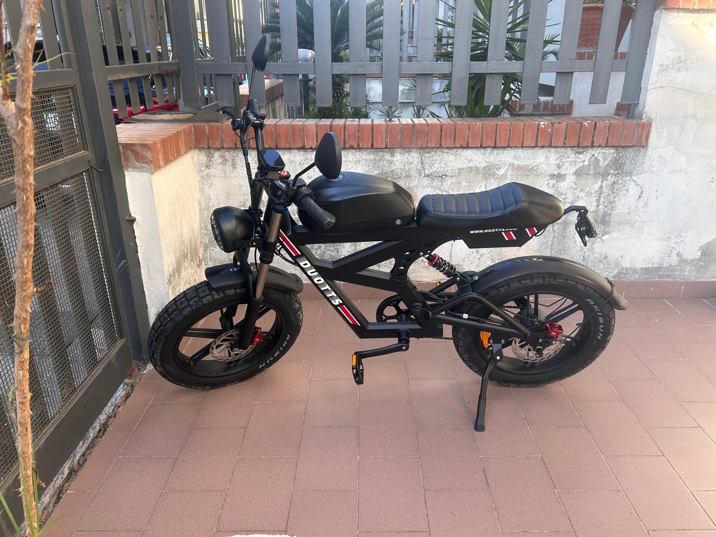 Customer photo review of DUOTTS F20 Electric Bike