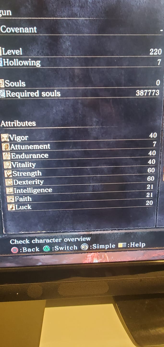 Customer photo review of Dark Souls 3 Items & Souls