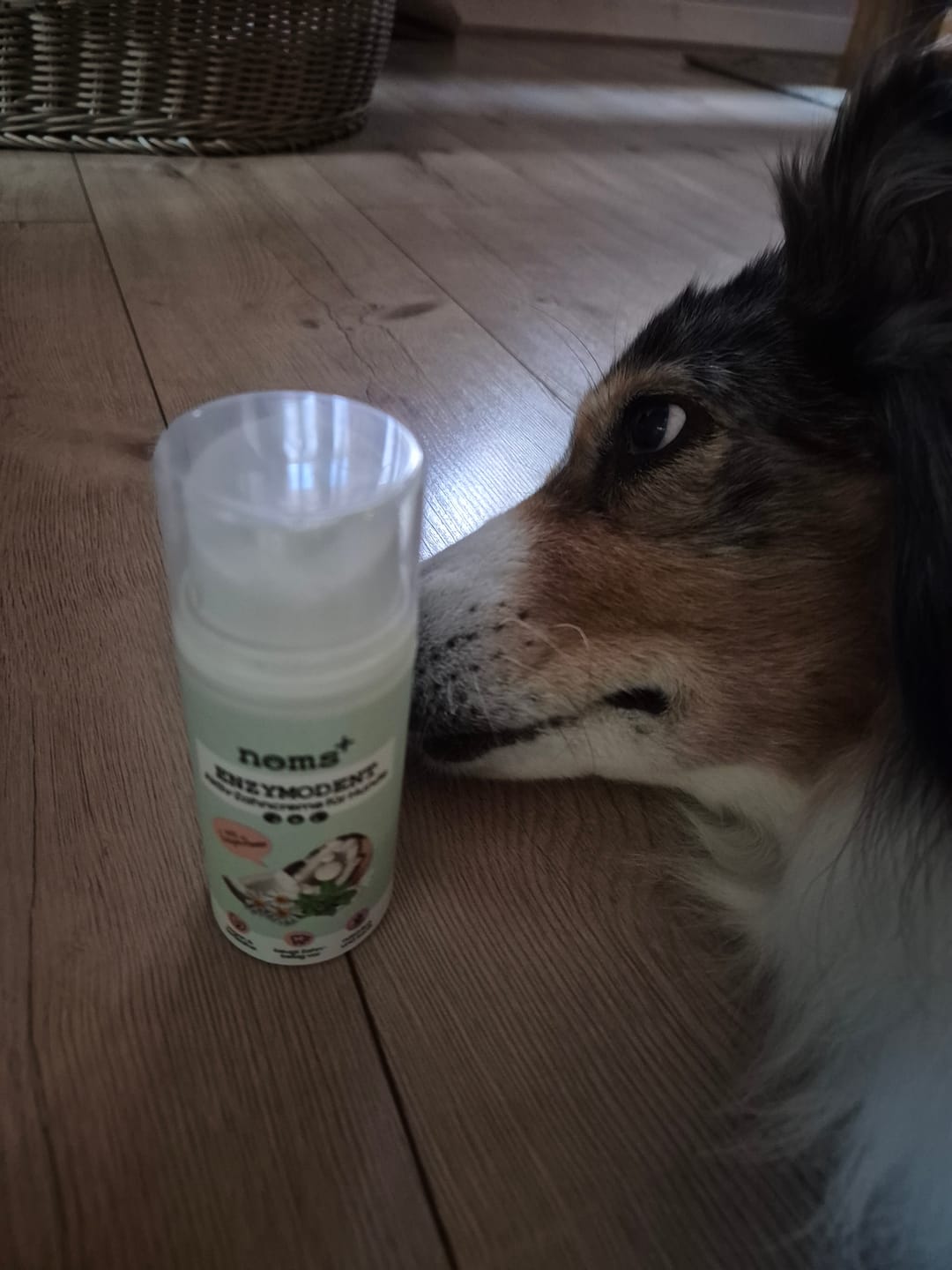 Customer photo review of Enzymodent: Enzymatische Zahnpasta für Hunde mit natürlicher Pflege- und Präventionsformel