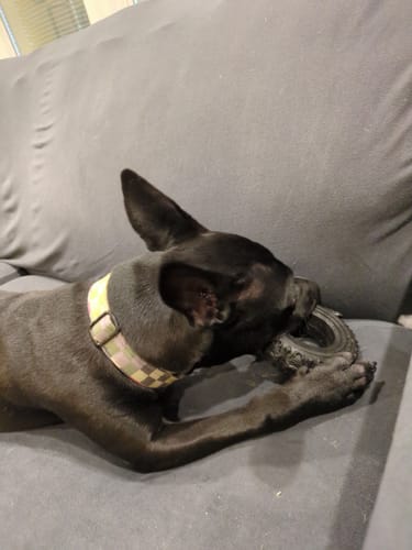 Customer photo review of The Tire - USA Made