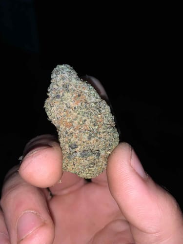 Customer photo review of Frosted Donut THCA Flower