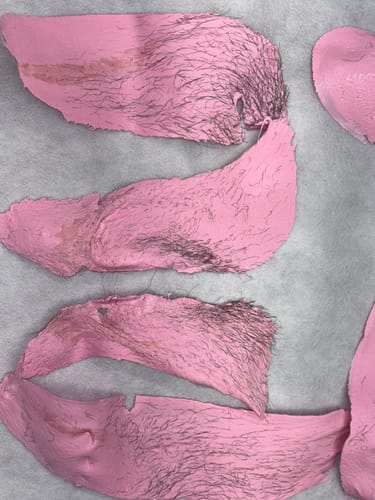 Customer photo review of Waxing 101 - Build Your Dream Waxing Brand