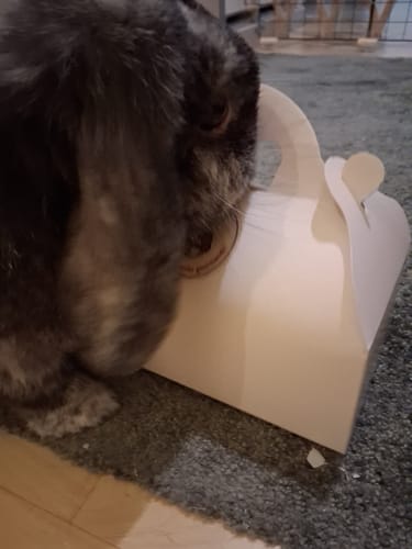 Customer photo review of La rentrée des petits gourmands