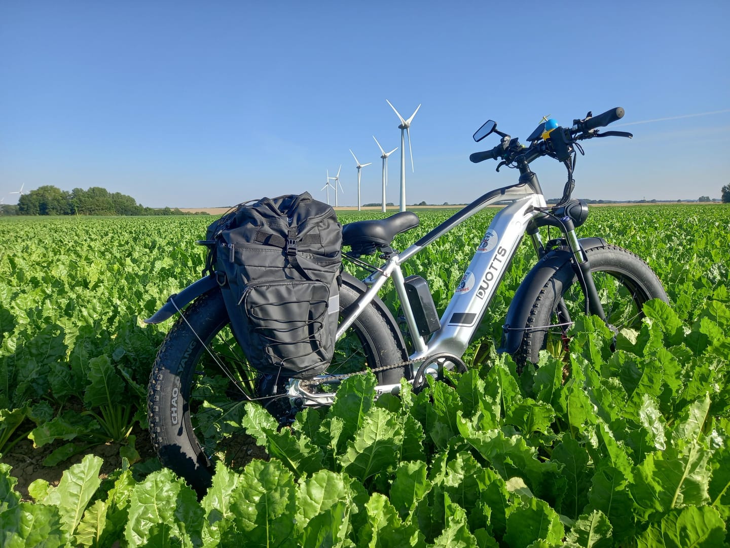 Customer photo review of DUOTTS F26 Electric Bike