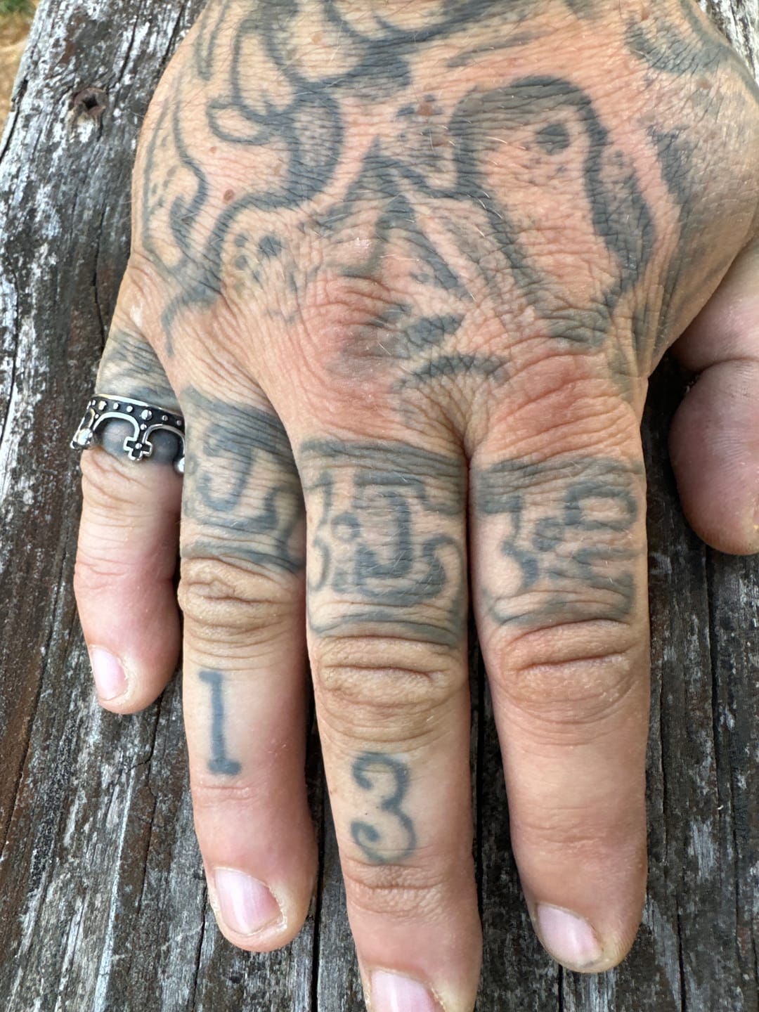 Customer photo review of THE KING.