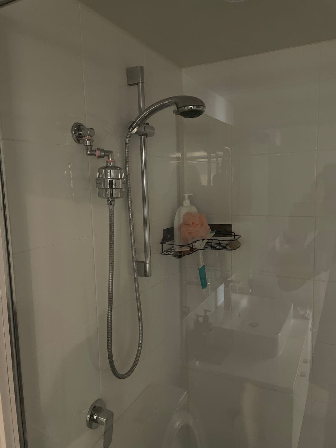 Customer photo review of Shower Purifier Filter Refill