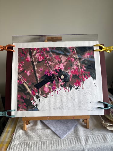 Customer photo review of Tui in Cherry Tree