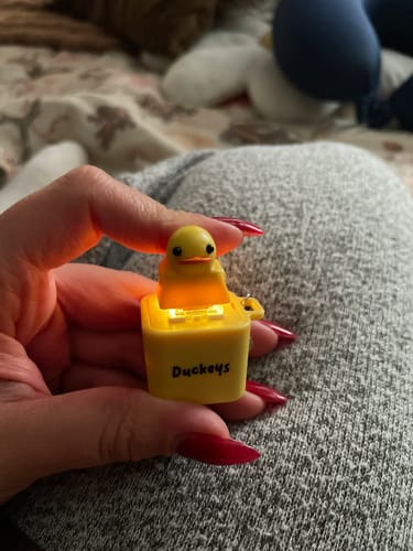 Customer photo review of Quackey - Fidget Toy that Quacks!