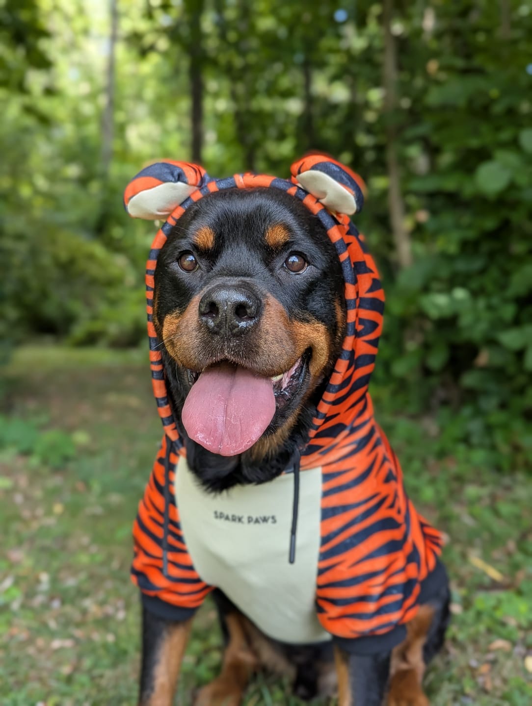 Customer photo review of Halloween Dog Hoodie - Tiger