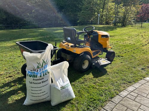 Customer photo review of GCI Turf Type Tall fescue Grass Seed