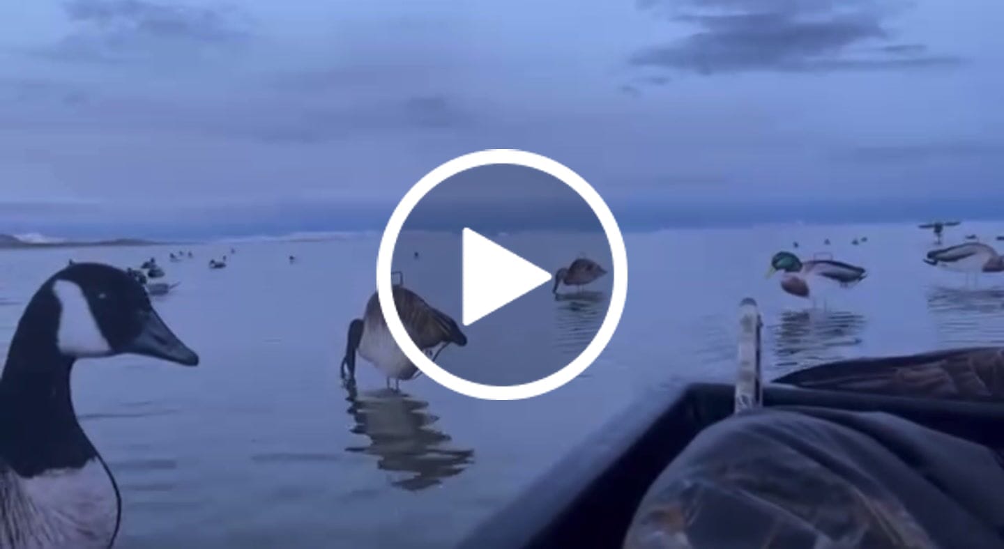 Customer video review of TorridWade Heated Duck Waterfowl Hunting Breathable Chest Waders