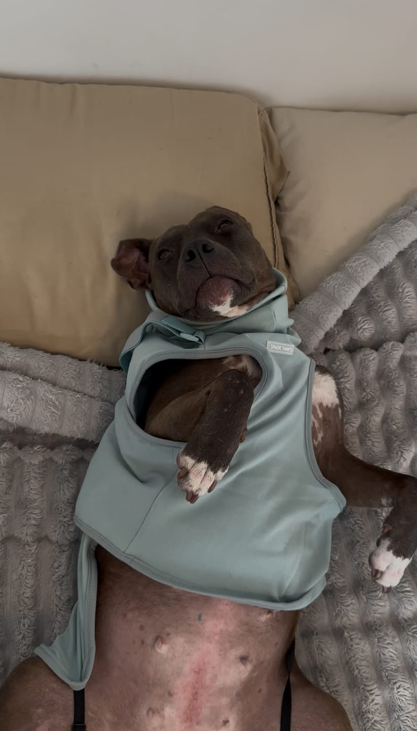 Customer photo review of Anxiety Calming Suit - Teal
