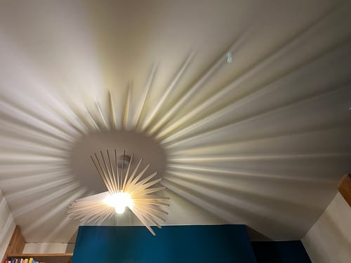 Customer photo review of Ampoule LED 12w