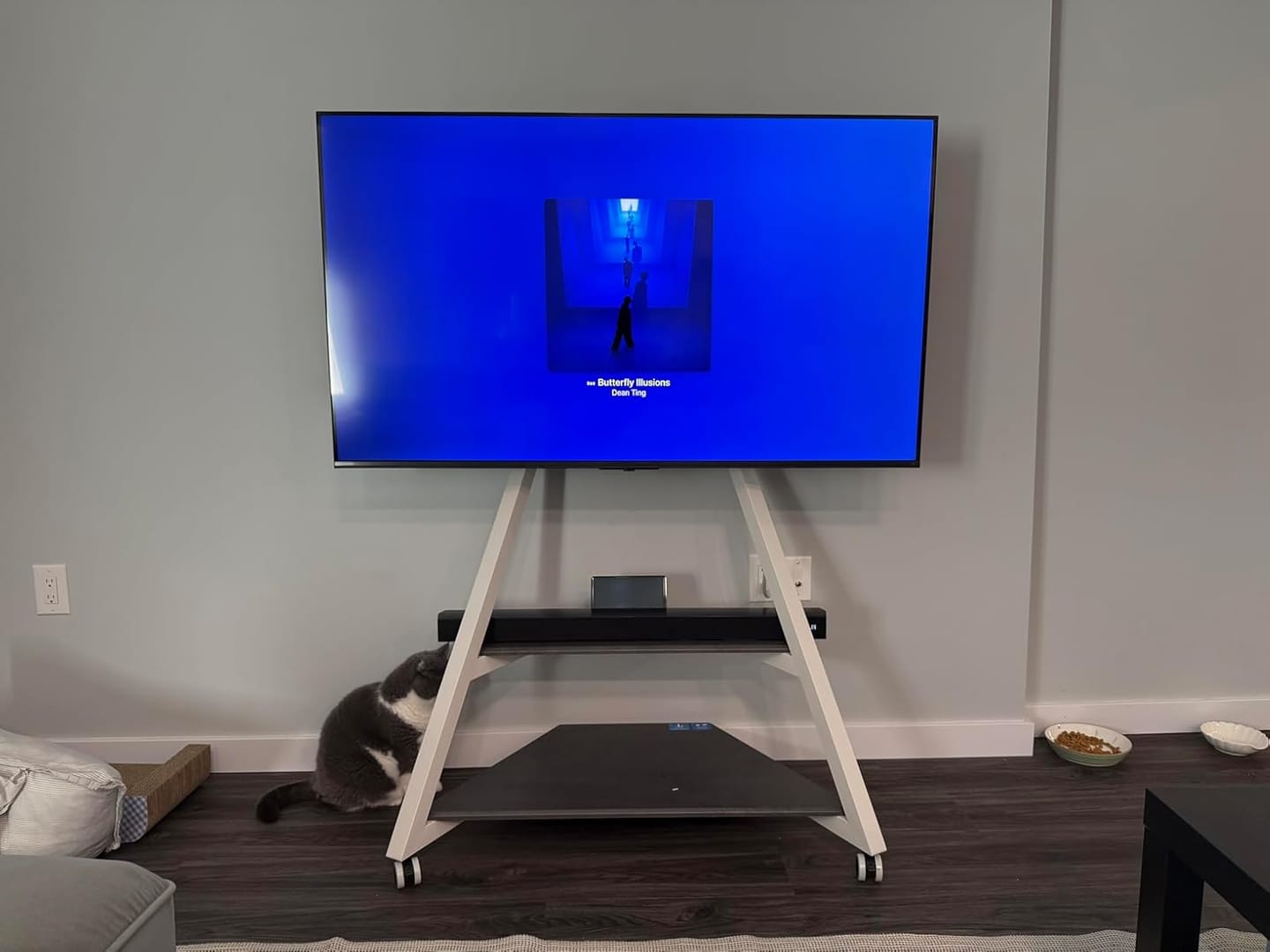 Customer photo review of Eiffel V2 FT88 TV Stand