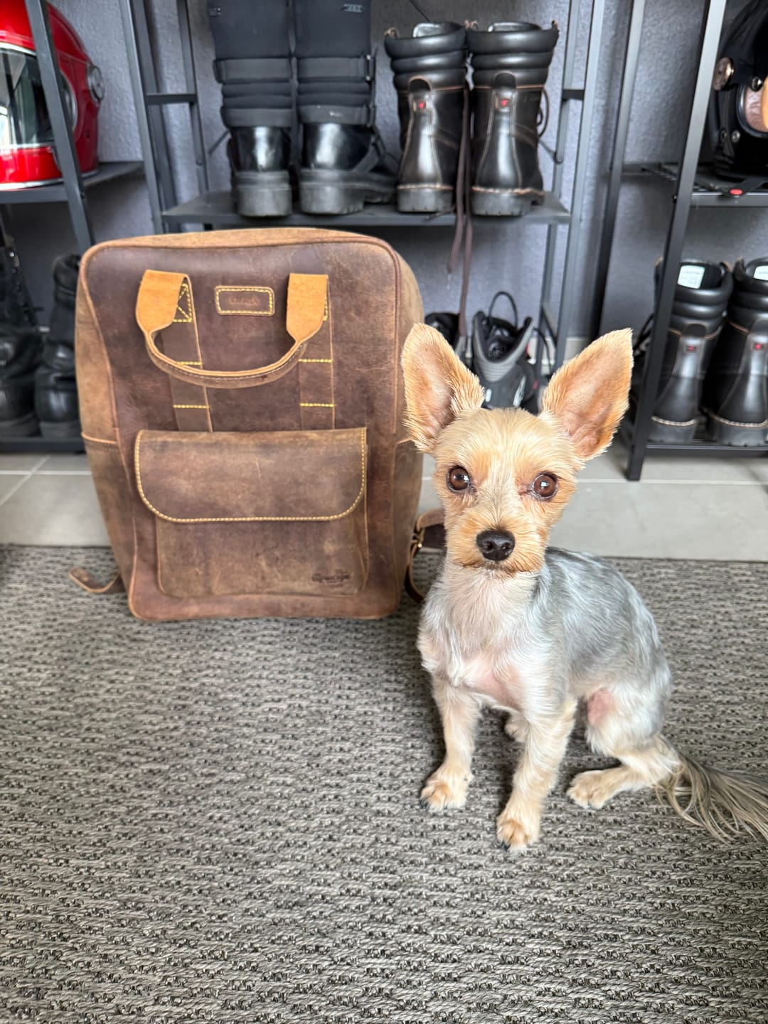 Customer photo review of eastwood backpack