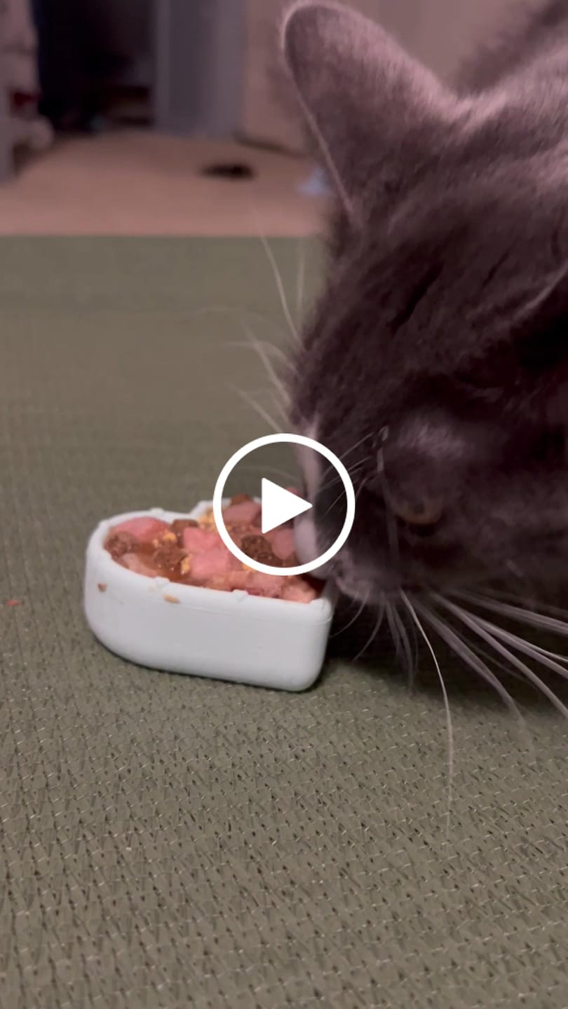 Customer video review of FreezLove Cat Enrichment Chew