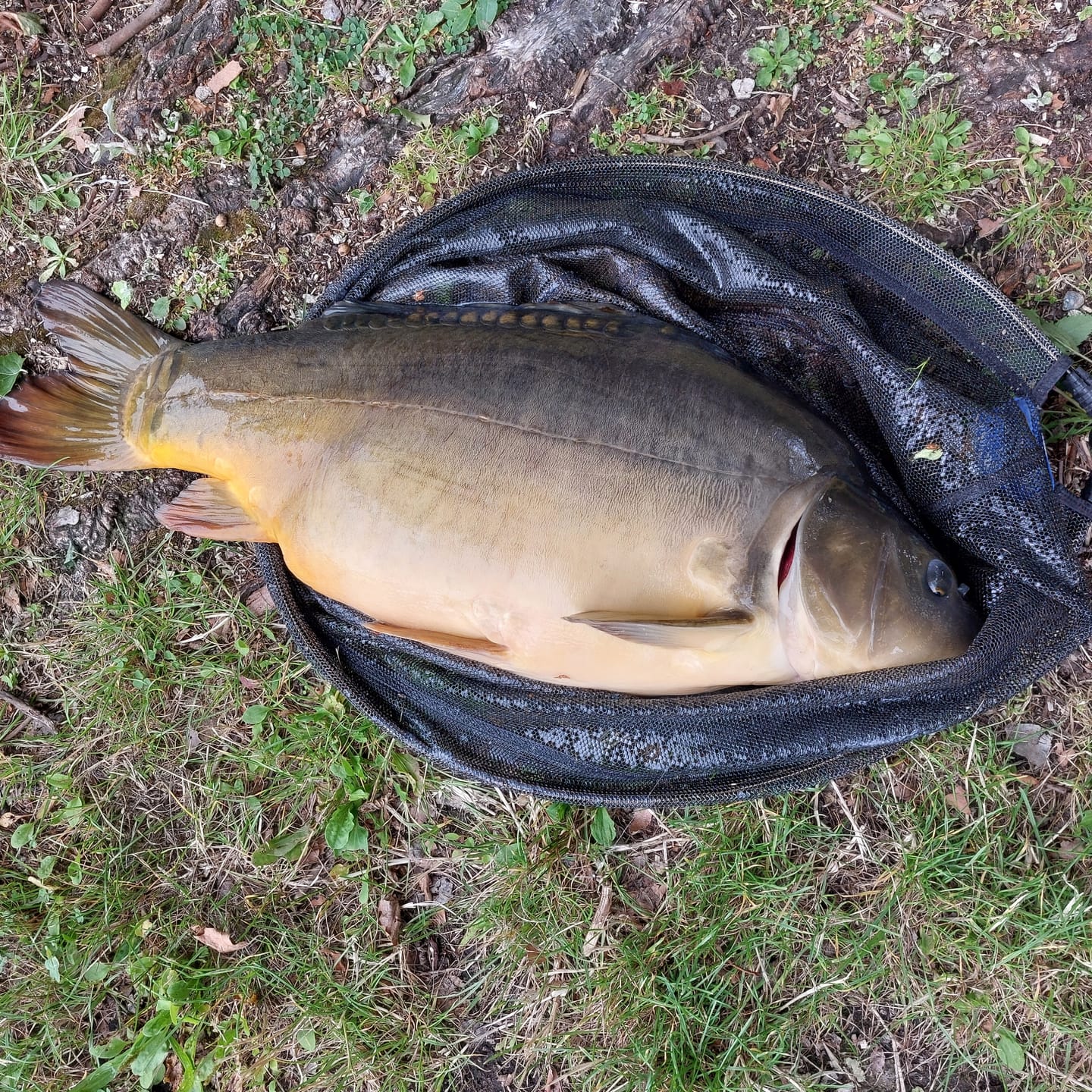 Customer photo review of TAKE AKASHI ULTRACLEAR 100m - 8 Opties