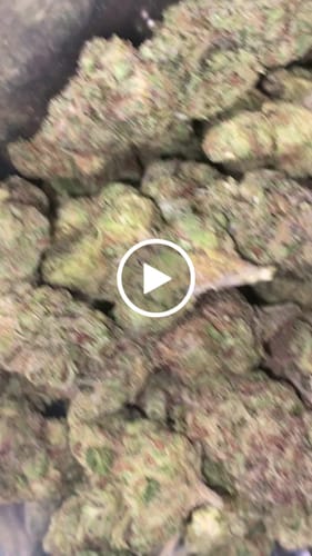 Customer video review of Cheap THCA Flower Ounce