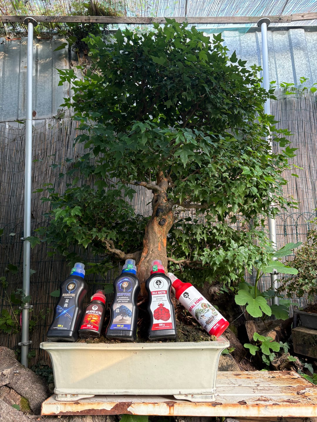 Customer photo review of PROTOCOLLO NUCLEARE CB®