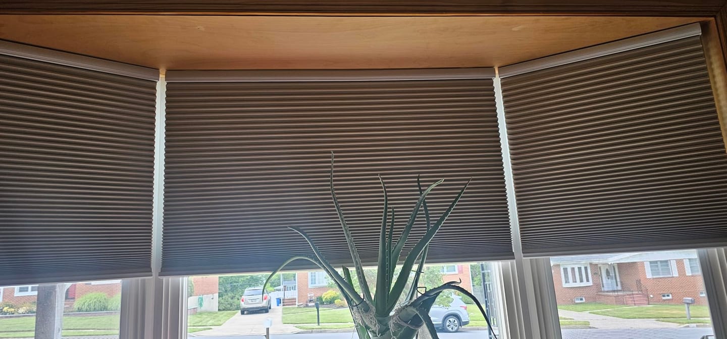 Customer photo review of Bringnox Blackout Motorized Cellular Shades