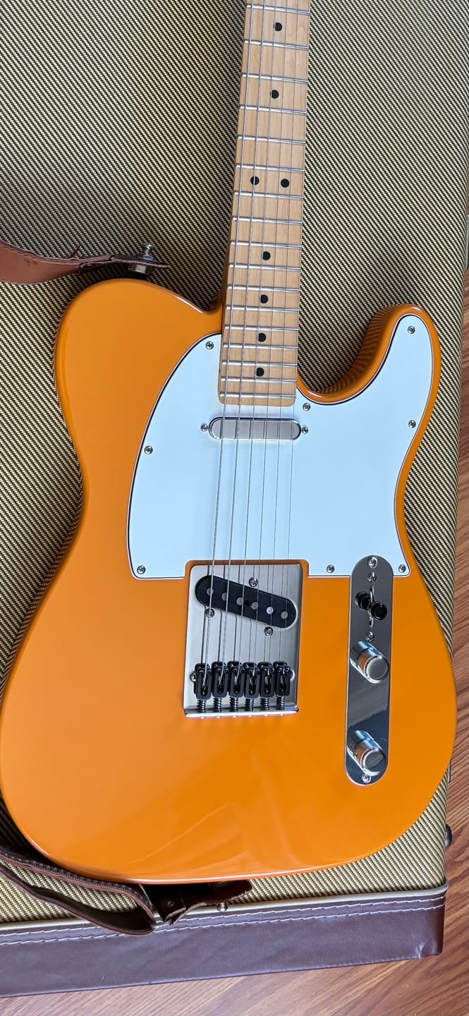 Customer photo review of Vintage Stainless Steel Guitar Saddle (Sold Individually)