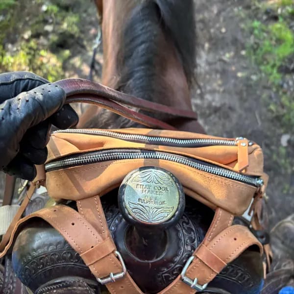 Customer photo review of Saddle Bag Classic
