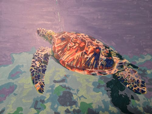 Customer photo review of Malen nach Zahlen - Schildkröte unterwasser