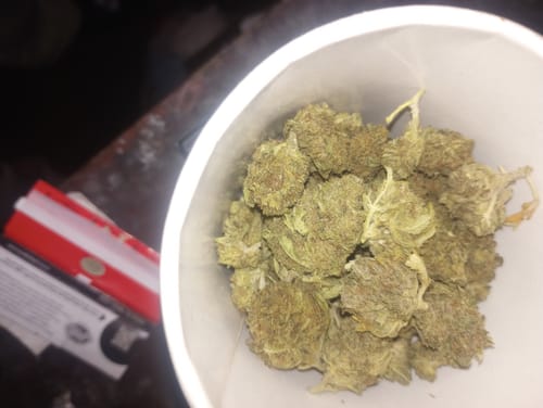 Customer photo review of Pinnacle Light Assist THCA