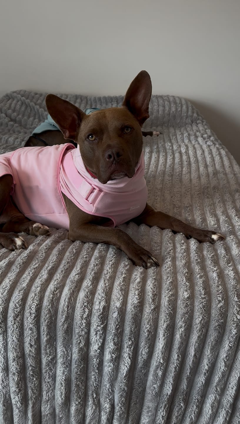 Customer photo review of Anxiety Calming Suit - Pink