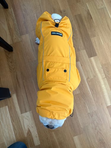 Customer photo review of Breatheshield™ Dog Raincoat (Multi-Color)