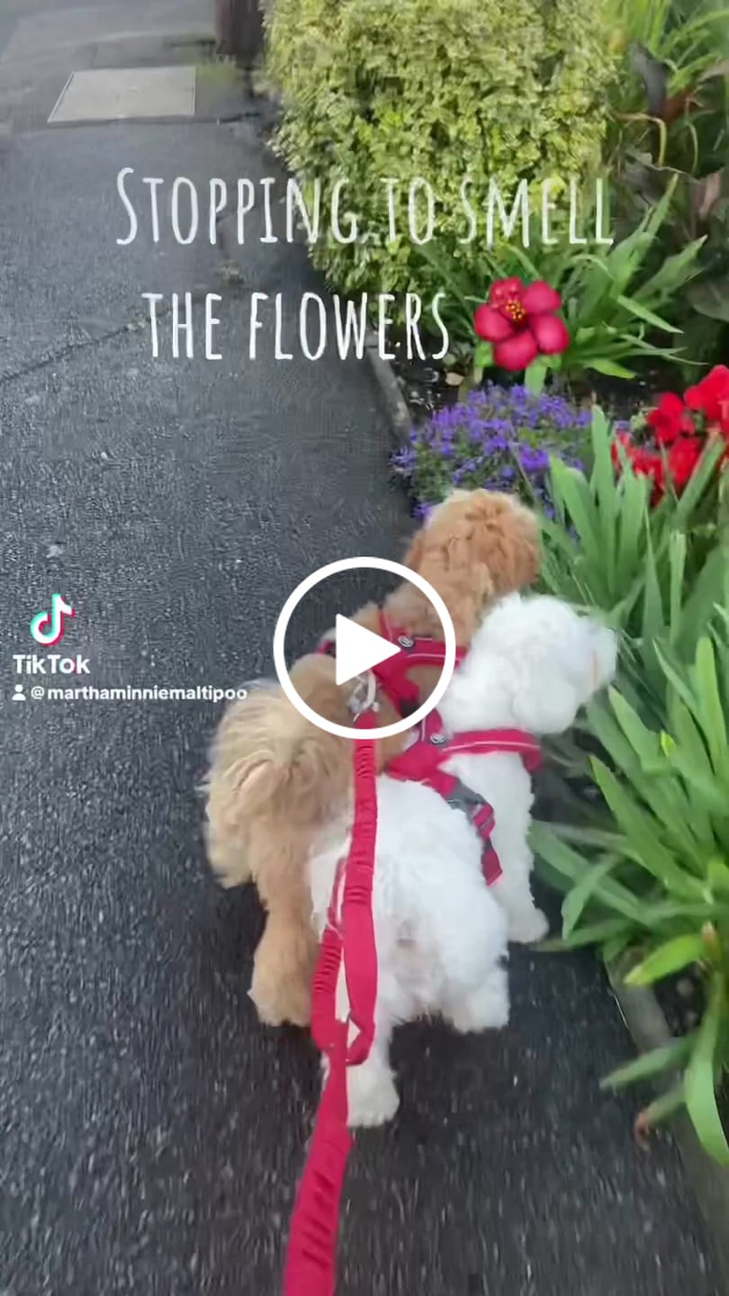 Customer video review of Free Personalisation