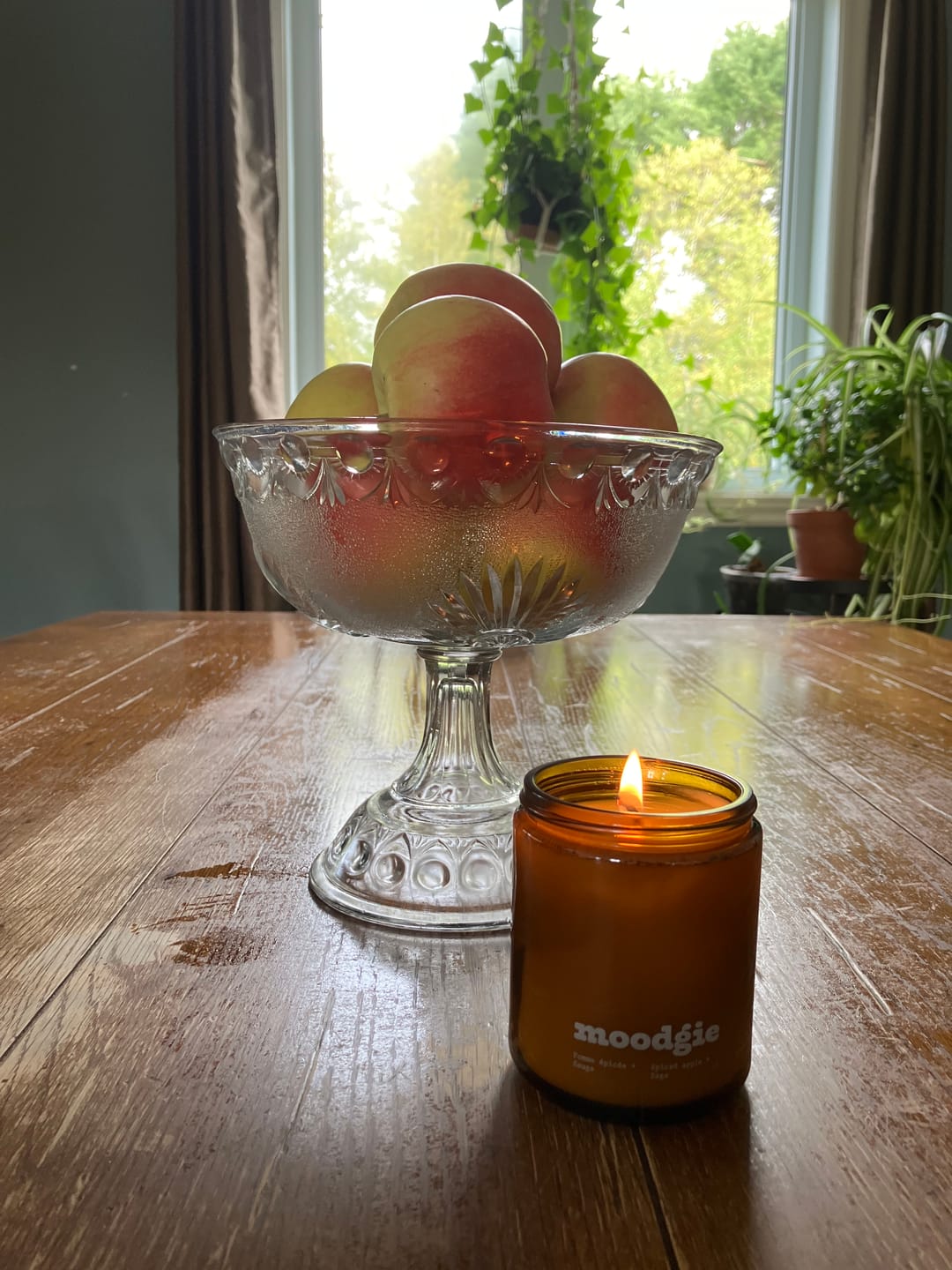Customer photo review of Bougie - Pomme épicée + Sauge