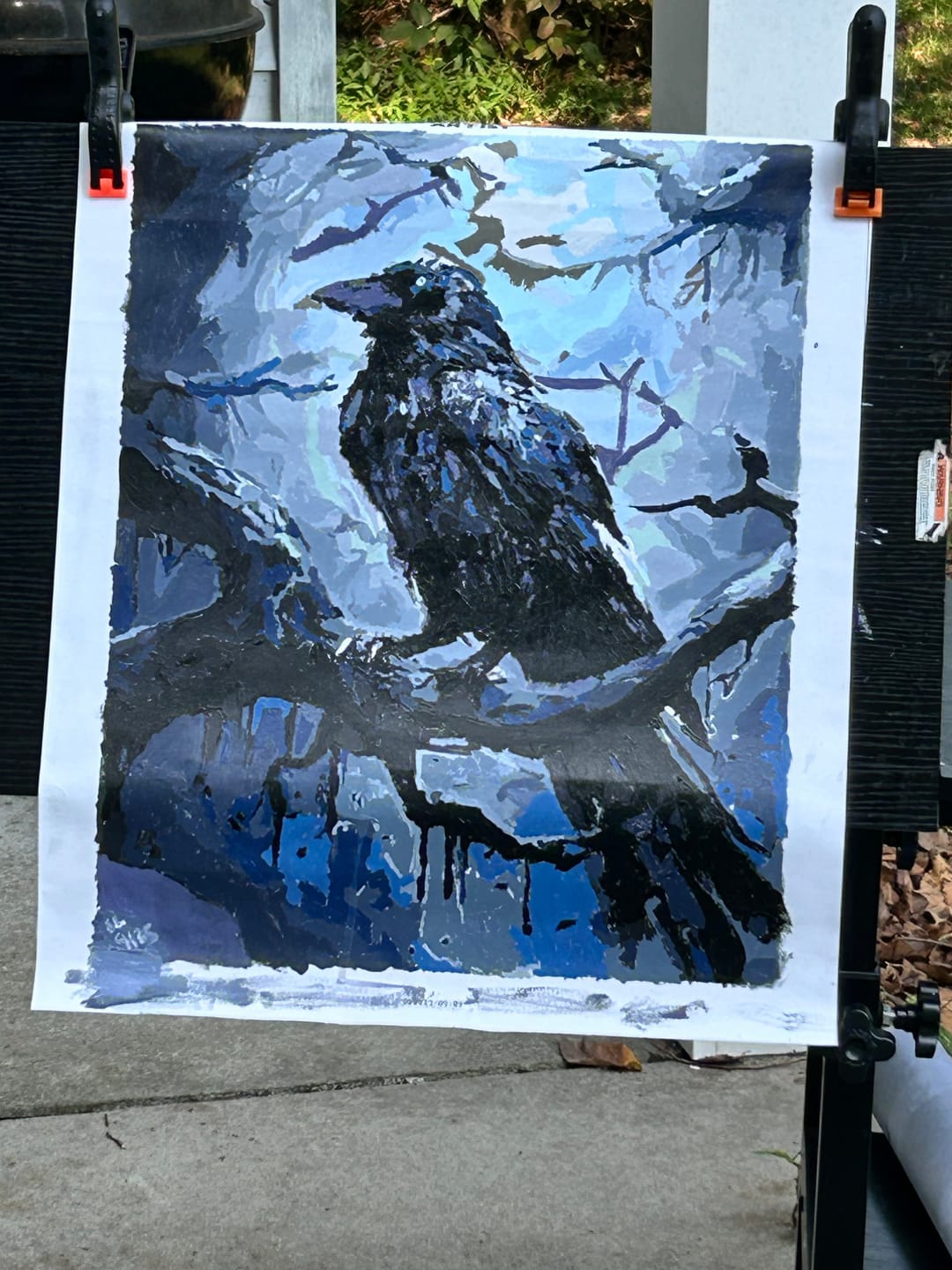 Customer photo review of Mysterious Raven