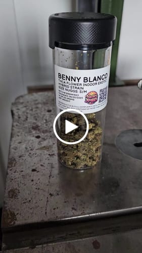 Customer video review of Benny Blanco Hybrid THC Flower Exotic THCa 14g 28g 114g