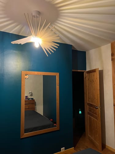 Customer photo review of Ampoule LED 12w