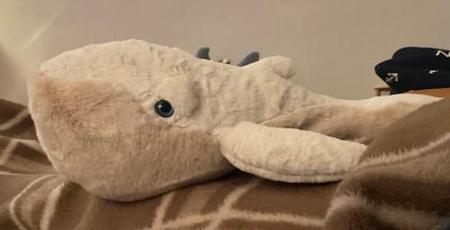 Customer photo review of The Whale