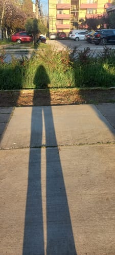 Customer photo review of Cápsulas de Hongo Melena de León - Ultra concentrado