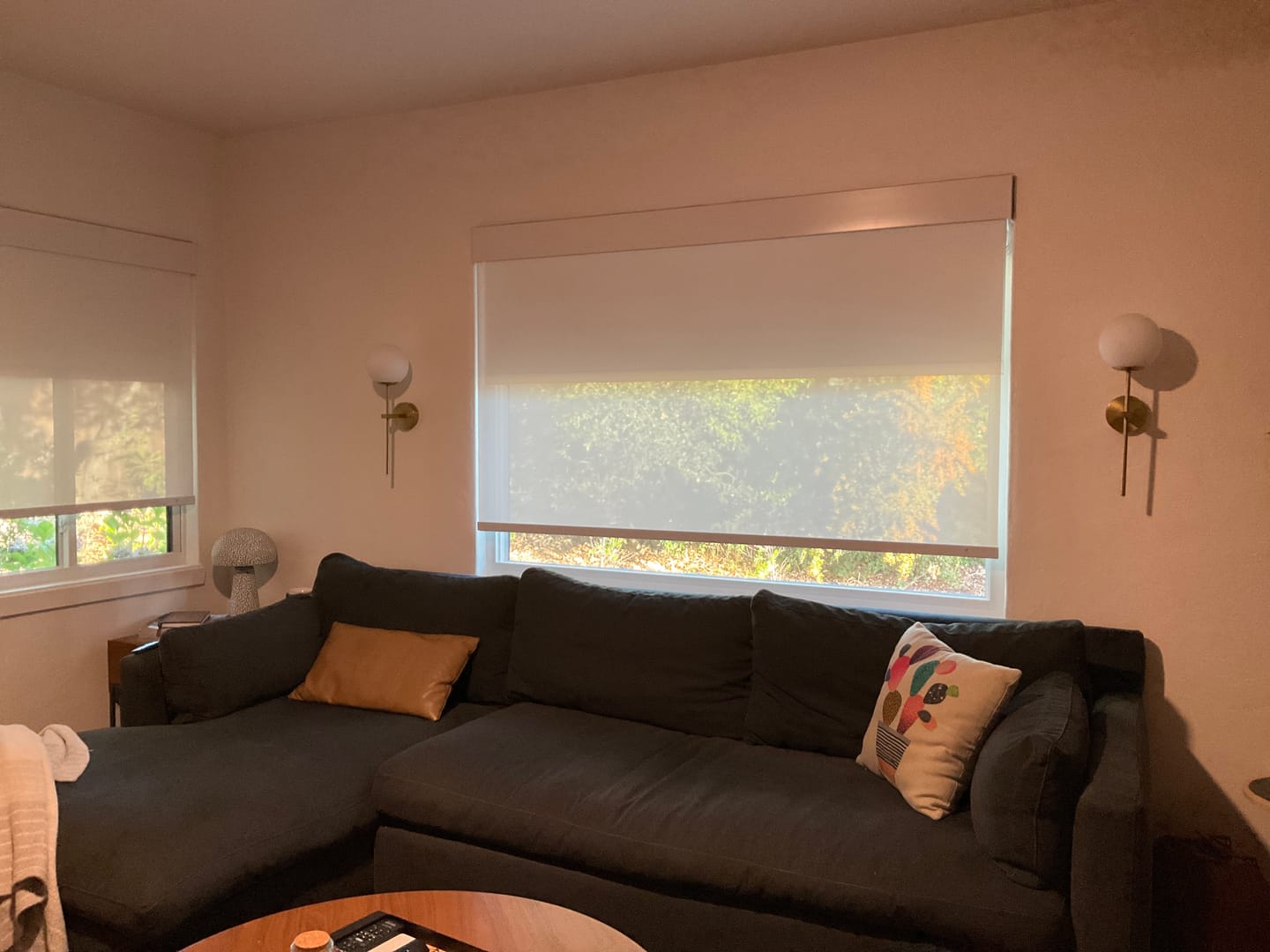 Customer photo review of SmartWings Motorized Dual Shade Harmony Duo Plus