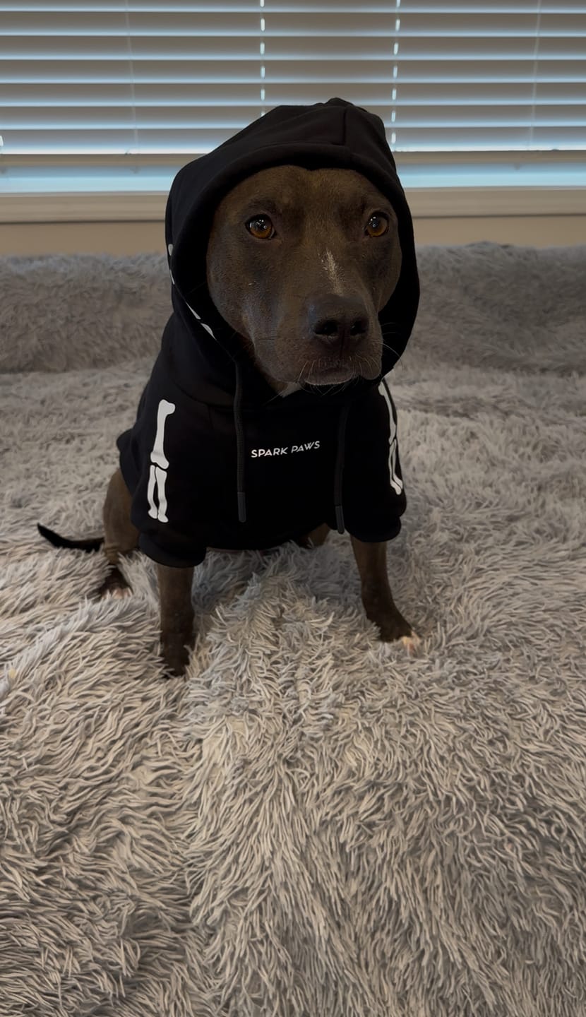 Customer photo review of Halloween Dog Hoodie - Reflective Skeleton