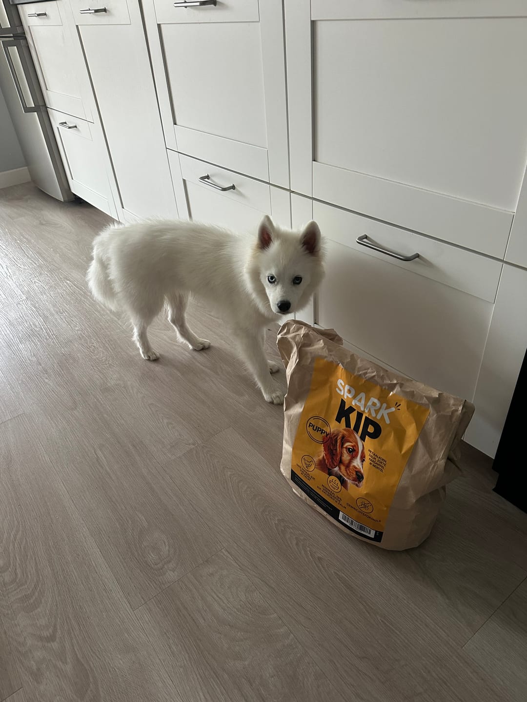 Customer photo review of Puppy - Kip met Kalkoen, Zalm, Zoete Aardappel & Wortel