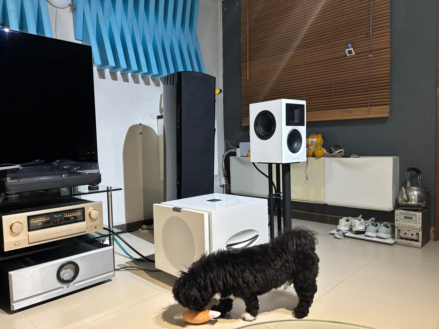 Customer photo review of Clarity 6.2