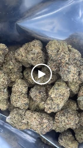 Customer video review of Horchata THCA Flower