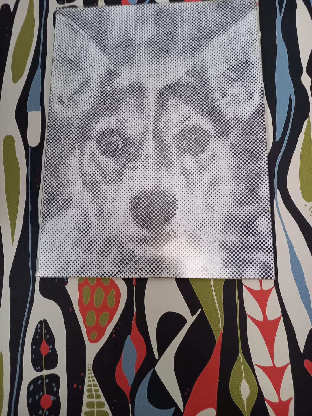 Customer photo review of Custom Photo Dot Painting Kit