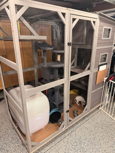 Customer photo review of Self-Cleaning Litter Box