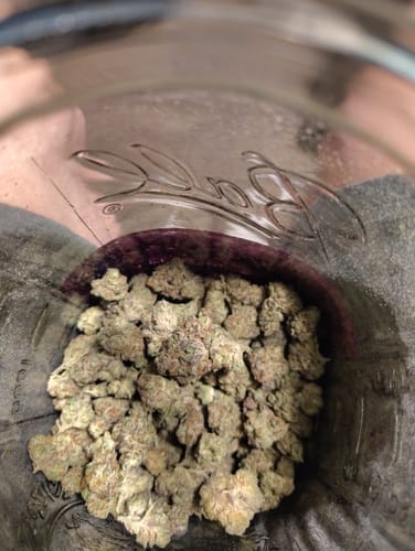 Customer photo review of Lava Cake - Bulk - Indica