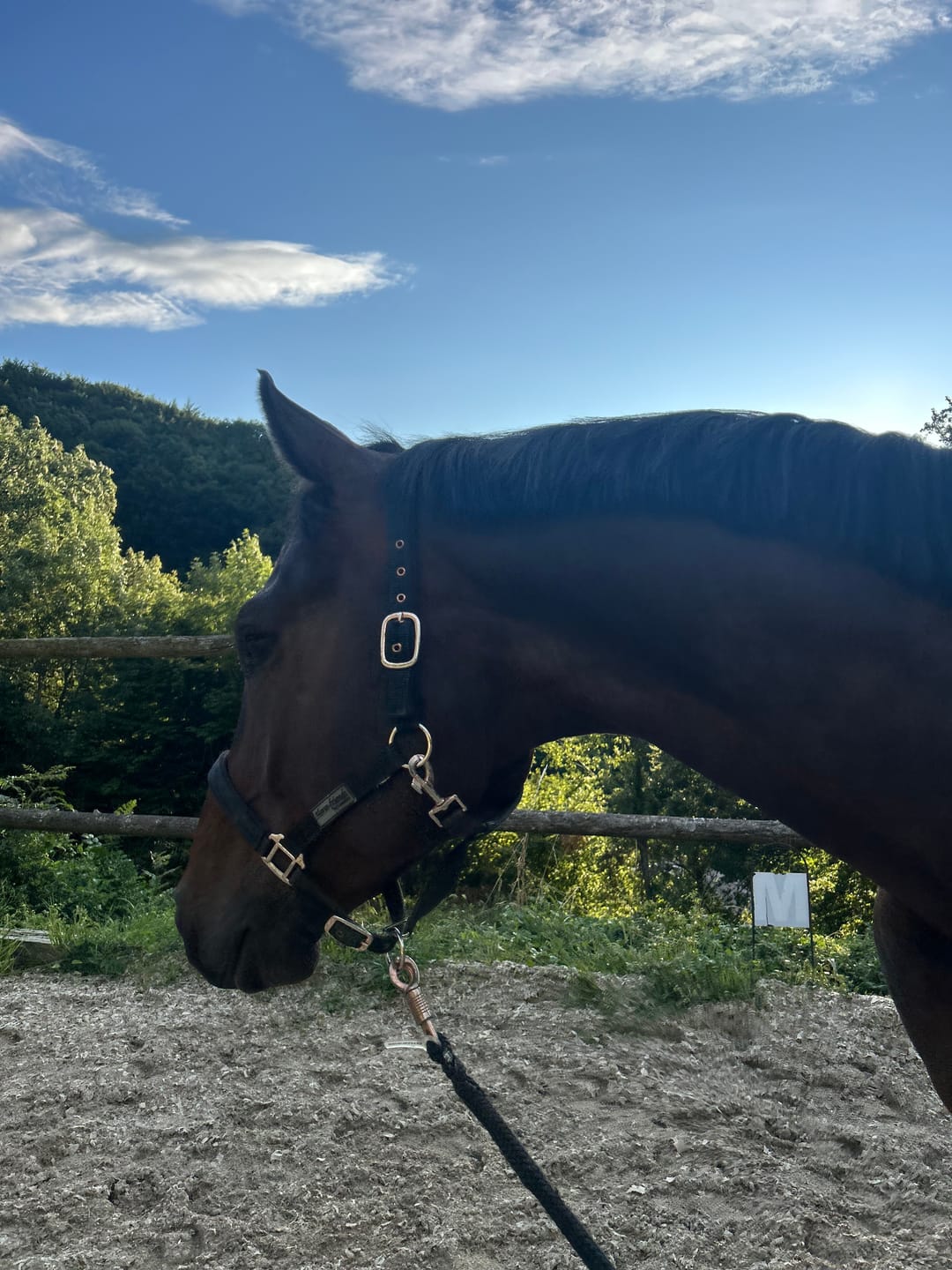 Customer photo review of MUSTAX Nervenstabil