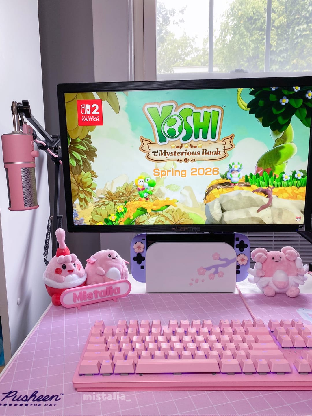 Customer photo review of Sakura Dreams Dock Cover for Nintendo Switch 2 – Original Faceplate Design